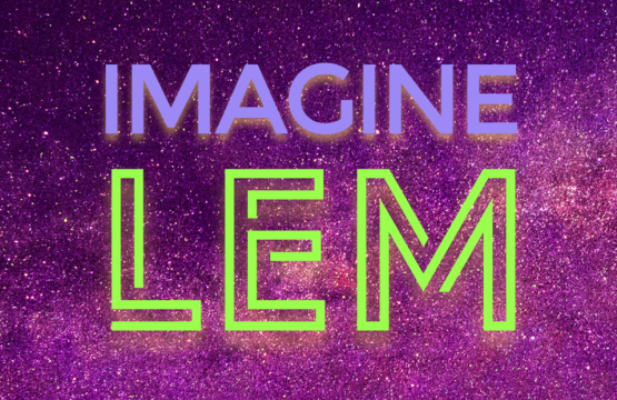 Imagine LEM